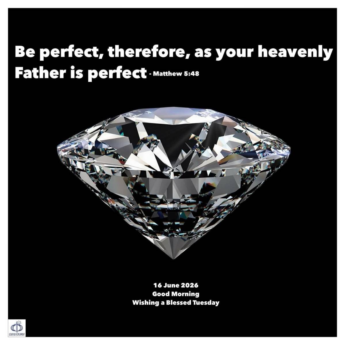 Be perfect, therefore, as your heavenly Father is perfect.
(Matthew 5:48)