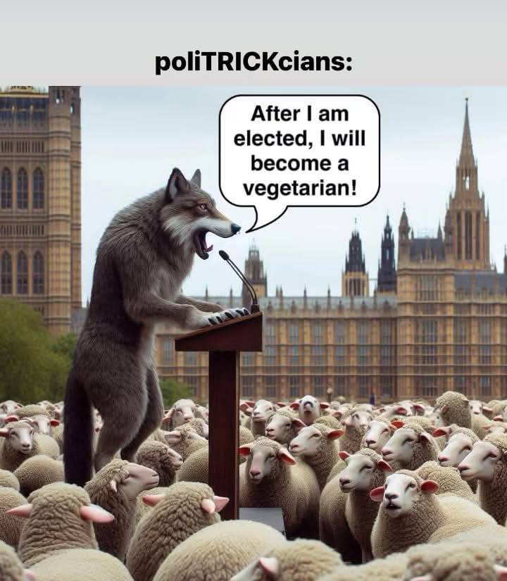 Politricks