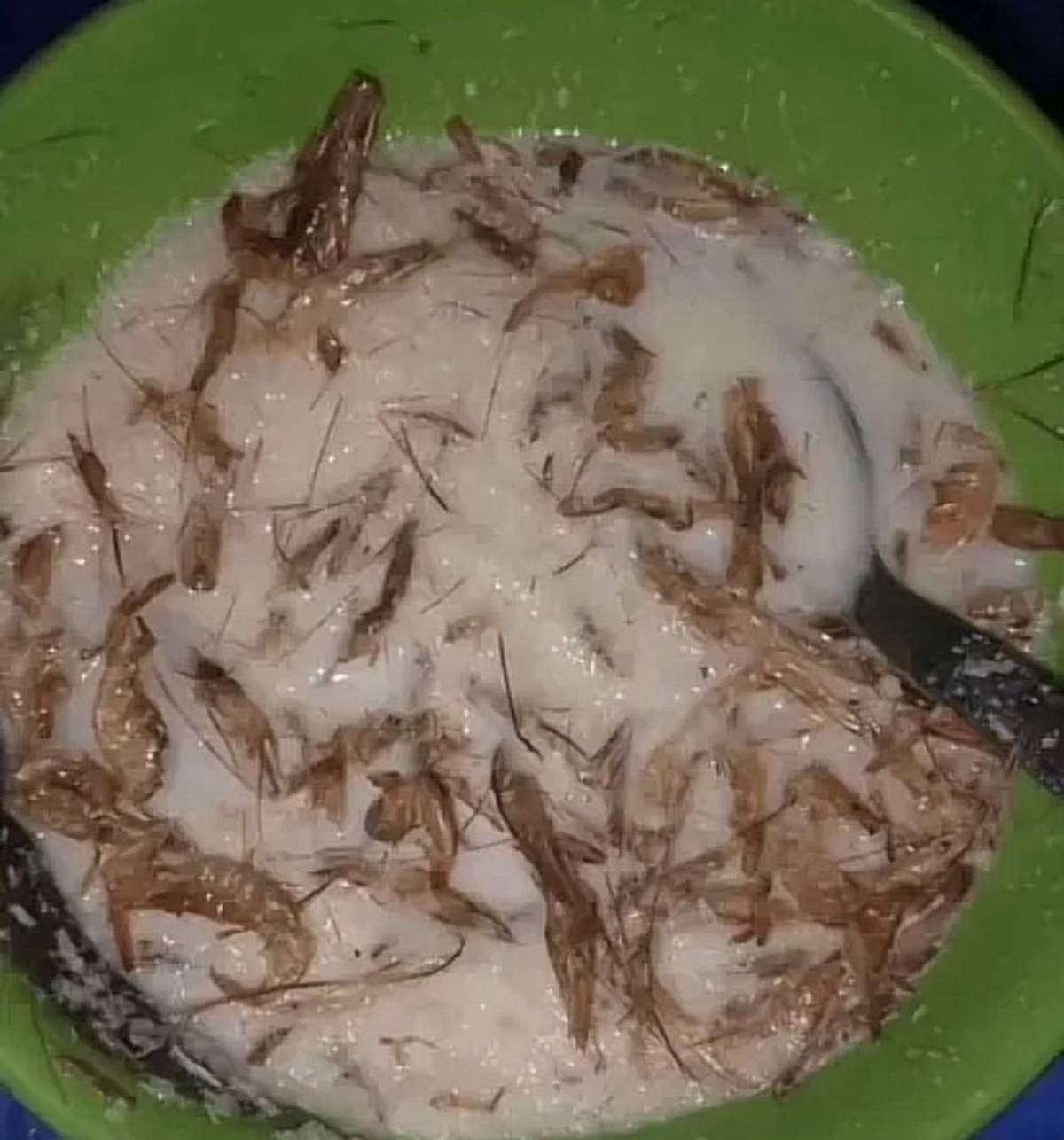 No recipes way I never use my dear garri do, You don try Garri and Crayfish before?
.
.
#LekeeLekee...