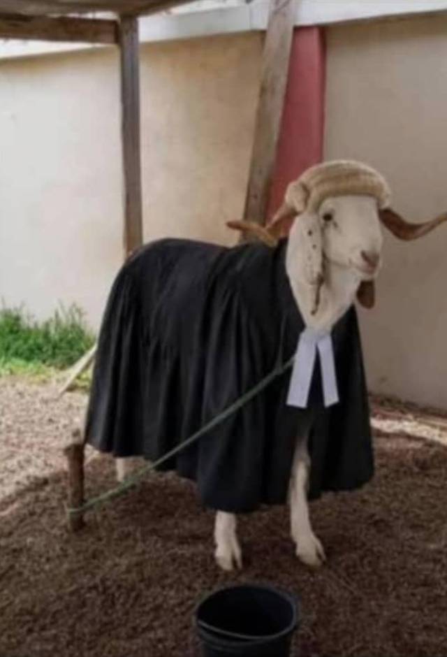 Distress Sale !! 9.5 Million because the Ram study Law.
.
.
.
#Trending #LekeeLekee #CFC #Viral #Na...
