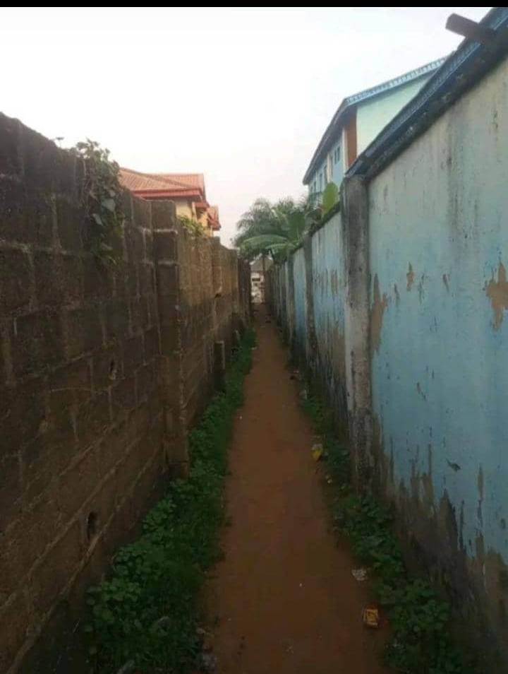 If you use my power bank finish, I com jam you for this kind road just run.
.
.
#LekeeLekee #Trendin...
