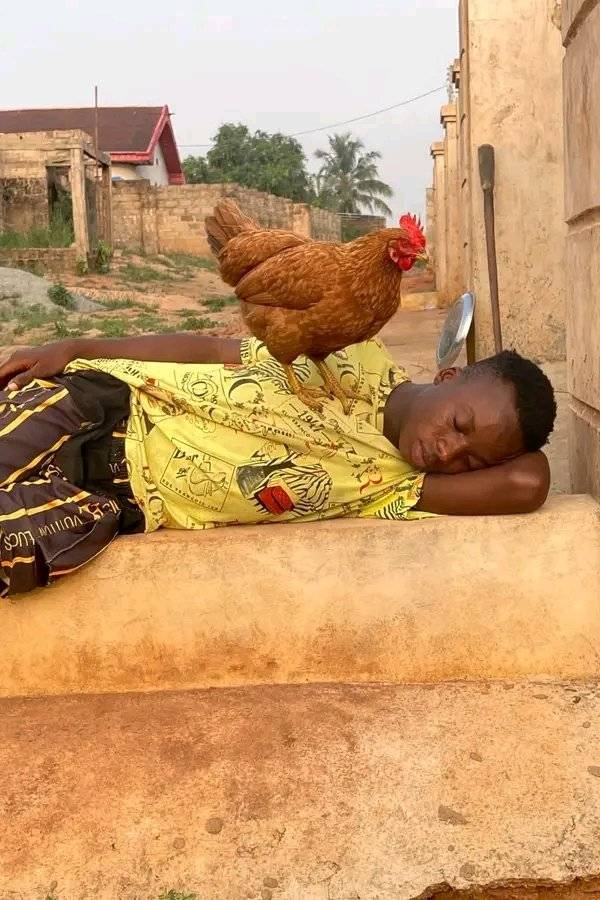 Once you don't have money nothing will respect you.
.
.
..
#LekeeLekee #Trending #CFC #Chelsea #Naij...