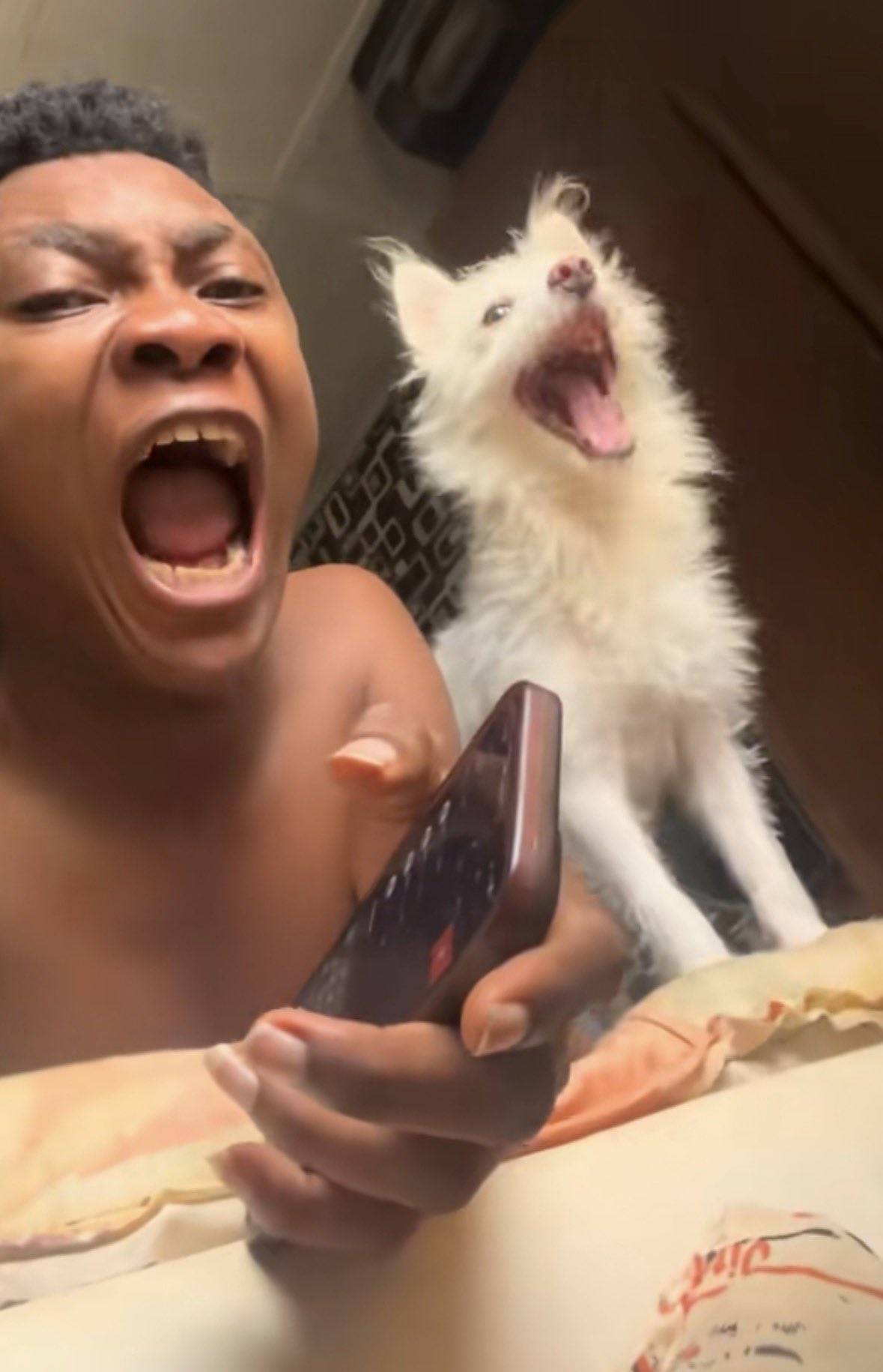Hunger hook bingo and master for neck like bow tie.
.
.
.
#LekeeLekee #Trending #CFC #Chelsea #Viral...