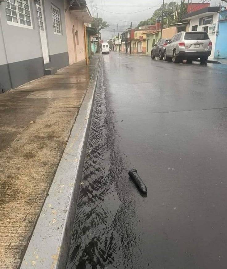 One good thing about this rain is that it keeps the street clean.
.
.
.
#LekeeLekee #Trending #CFC #...