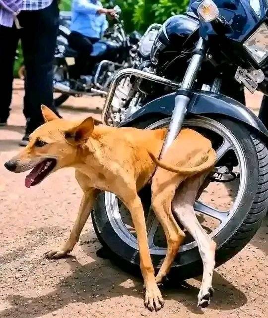 Agbada don hook barbwire ๐๐.
.
.
.
#LekeeLekee #Trending #CFC #Chelsea #Chelsea #Viral #NaijaPrid...
