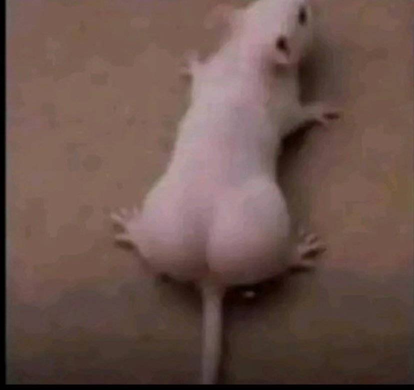 Rat way do BBL.
.
.
.
#LekeeLekee #Trending #CFC #Chelsea #Viral #NaijaPride #Sports #football