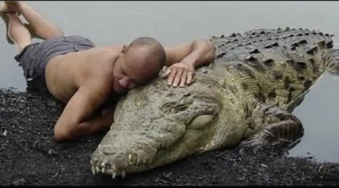 Crocodile hear my stories of struggles he shed Crocodile tears.
.
.
.
#LekeeLekee #Trending #CFC #Ch...