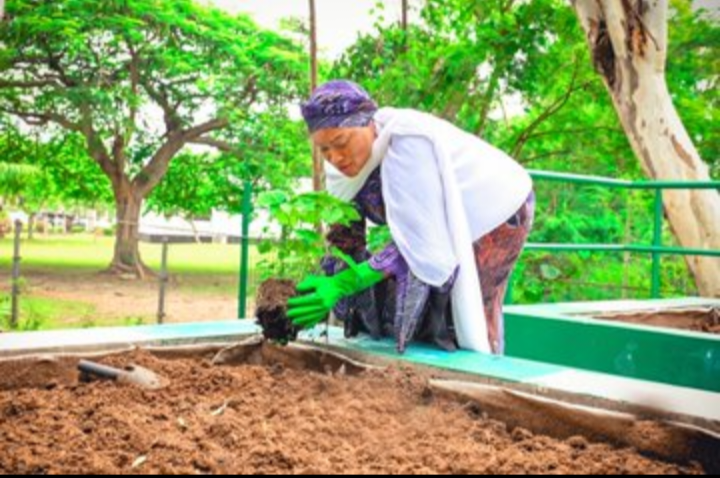 come ooo!!! This mama farm for Aso rock suppose don ready oooo
By now there should have been truc...