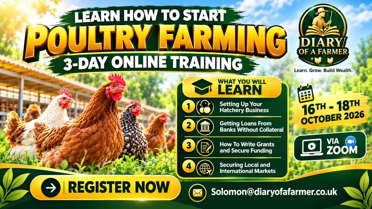 π DIARY OF A FARMER PRESENTS
3-DAY ONLINE POULTRY FARMING BUSINESS TRAINING
16th β 18th October 2...