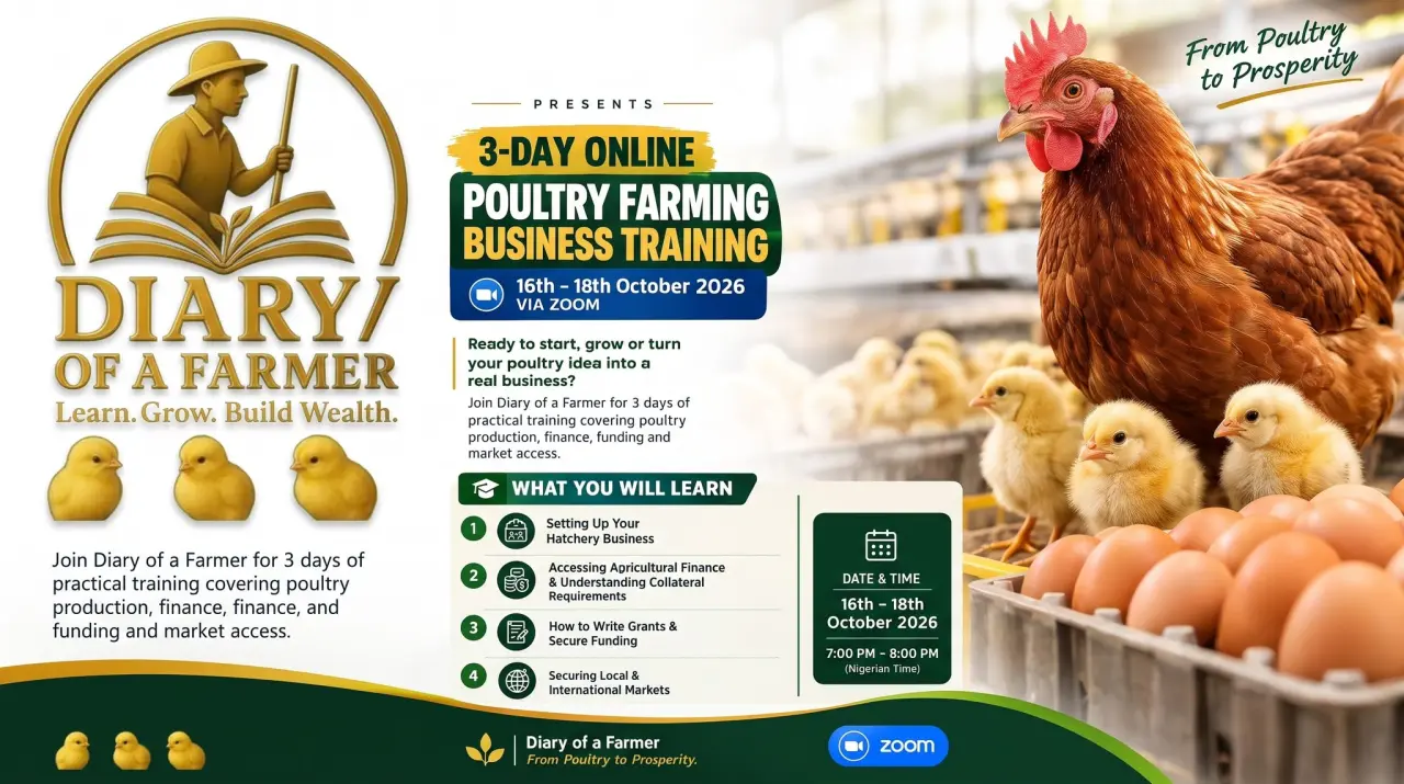 Join Our 3 Day Free Session and Learn how to get grants and markets for your Agric business.Learn Ha...