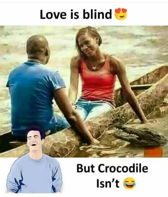 Crocodile us not blind nd it will surely make ur love to start seeing ๐๐
#LekeeLekee #Trending #Vi...