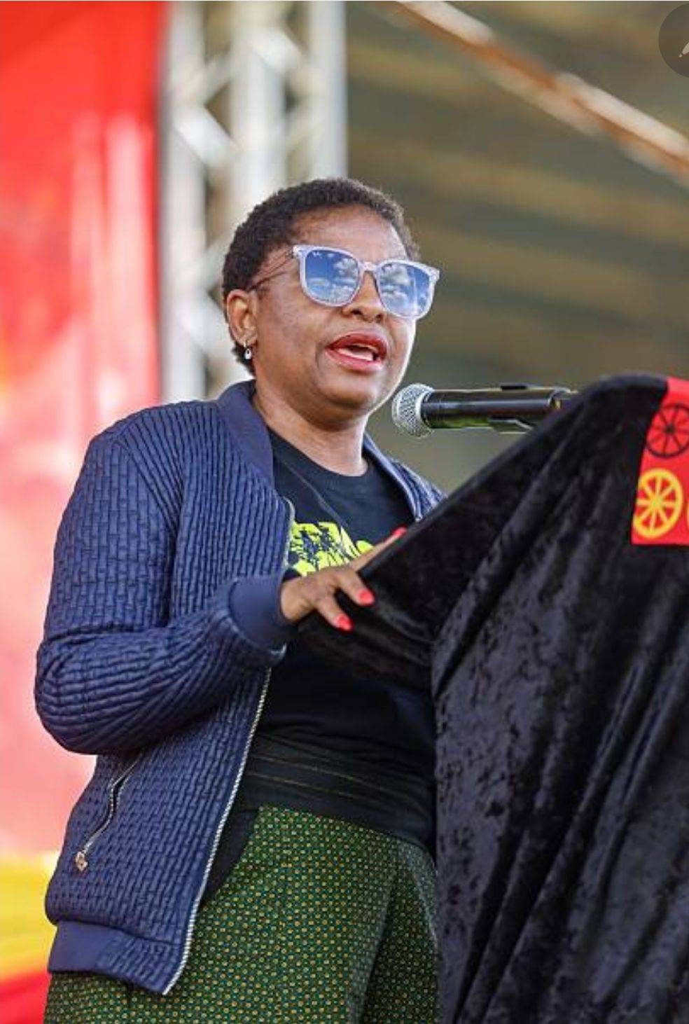 South Africa's Minister in the Presidency has said the government will not pay compensation to forei...