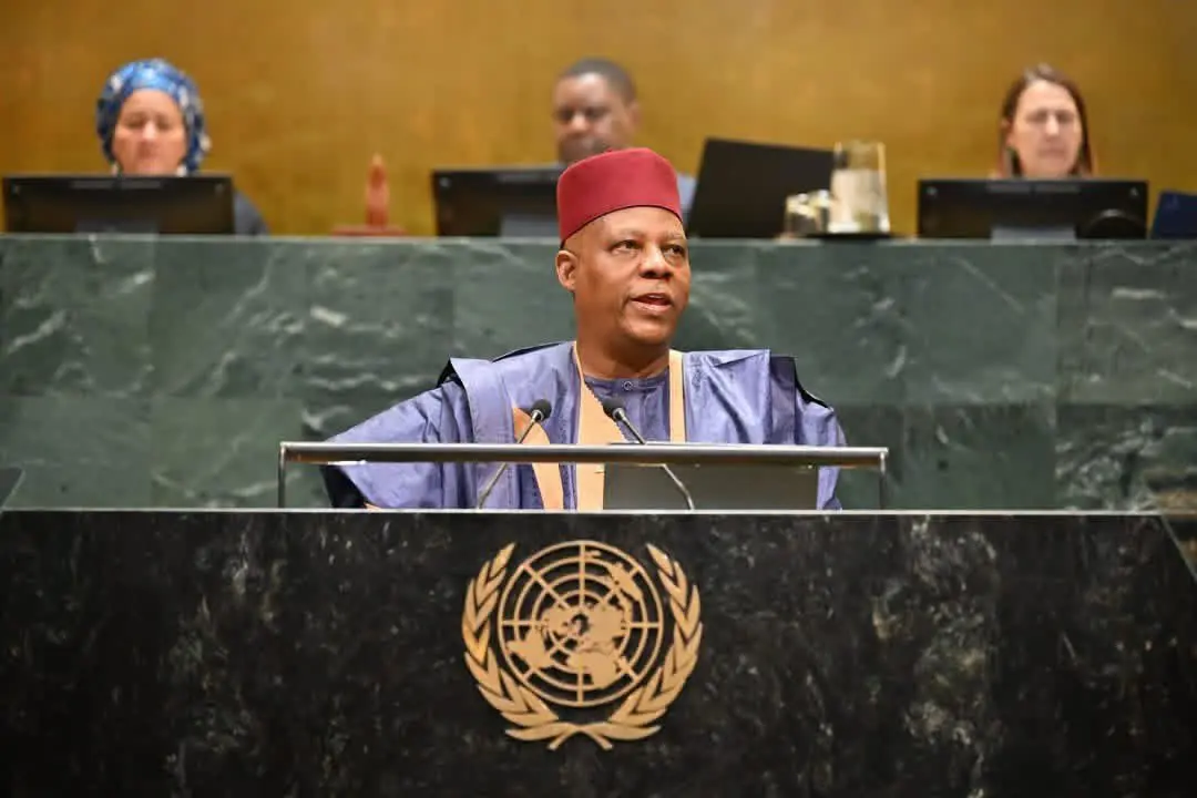 I just love how Vice President Shettima has been consistently representing us at the United Nations...
