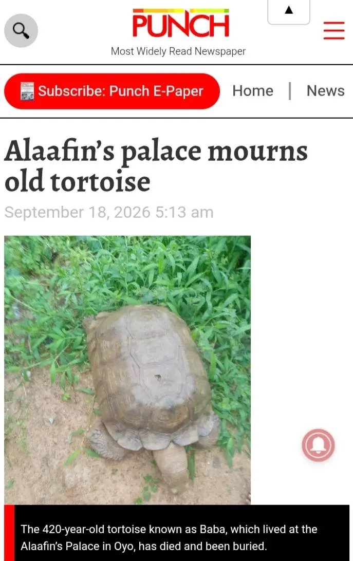 The palace of the Alaafin of Oyo announced the death and burial of its prized tortoise that outlived...