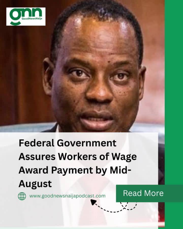 Federal Government Assures Workers of Wage Award Payment by Mid-August
When government makes commit...