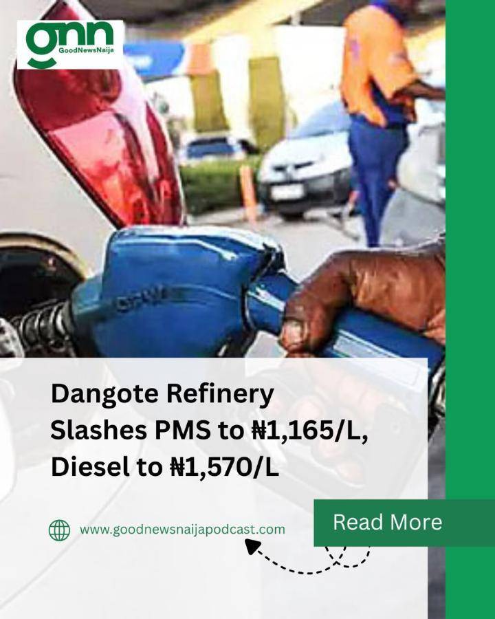 Dangote Refinery Slashes PMS to ₦1,165/L, Diesel to ₦1,570/L
Dangote Petroleum Refinery has reduced...