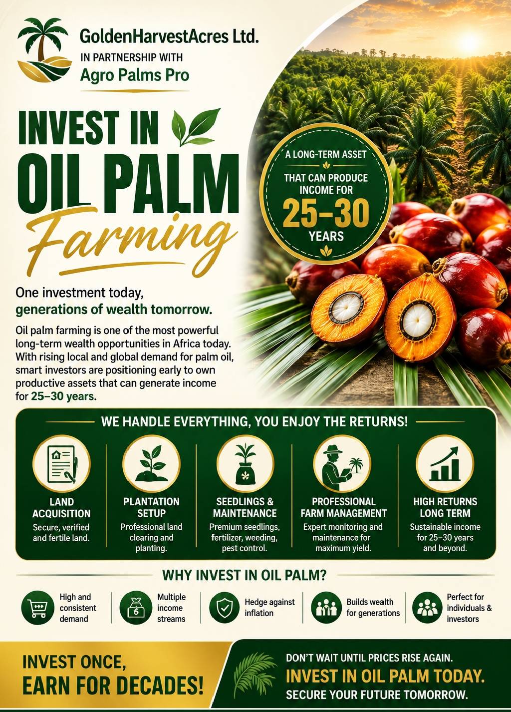 Oil palm farming is one of the most powerful long-term wealth opportunities in Africa today.
With r...