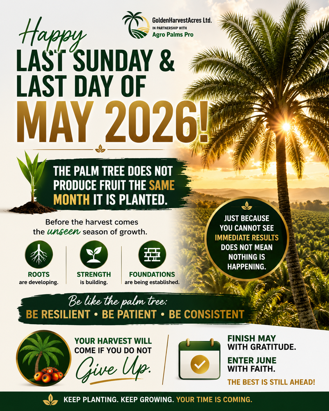 Happy Last Sunday and Last Day of May 2026! ๐ด
As we close the month, I know some of
you may be l...