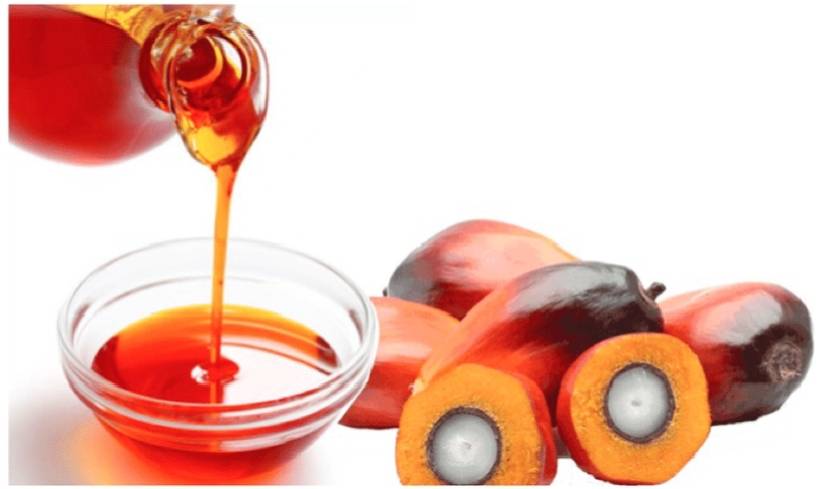 "Palm Oil Destroys Every Rainforest"
Is every palm plantation destroying forests?
One of the most...