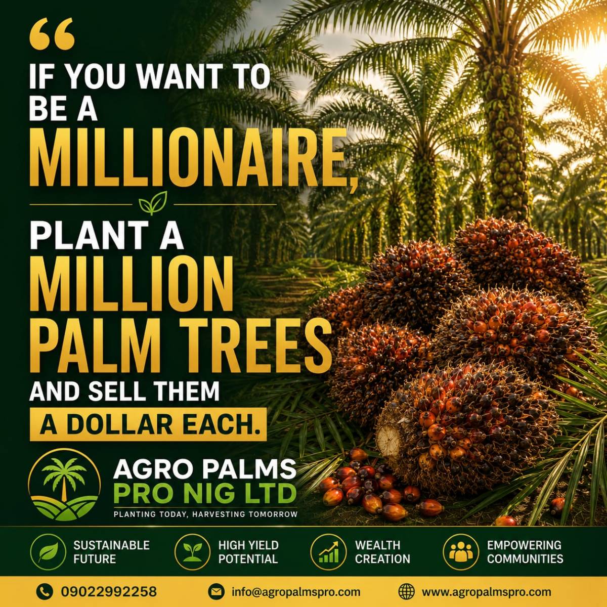 Crash Course: Understanding the Oil Palm Investment Timeline
Yesterday, someone asked an excellent...