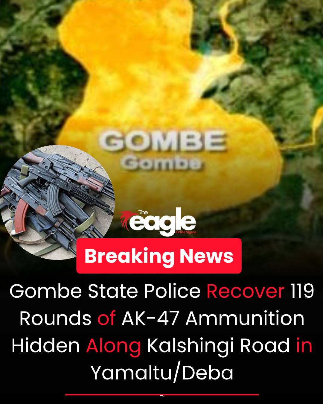 Gombe State Police Command has recovered 119 rounds of 7.62mm AK-47 live ammunition concealed in a s...