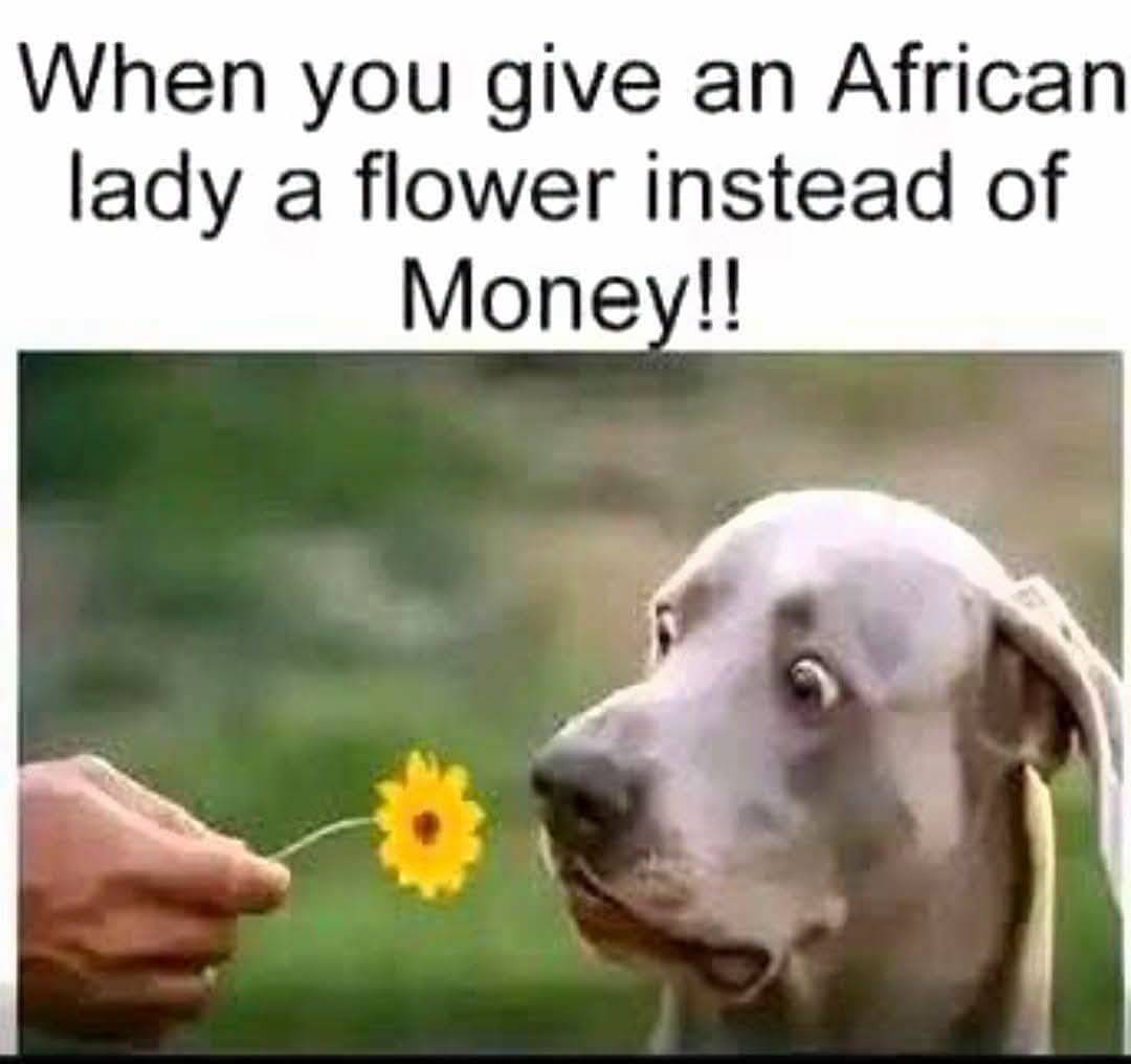 we dont do yhat SHIT in AFRICA ๐๐คฃ๐
#LekeeLekee #Trending #Viral #Nigeria #News