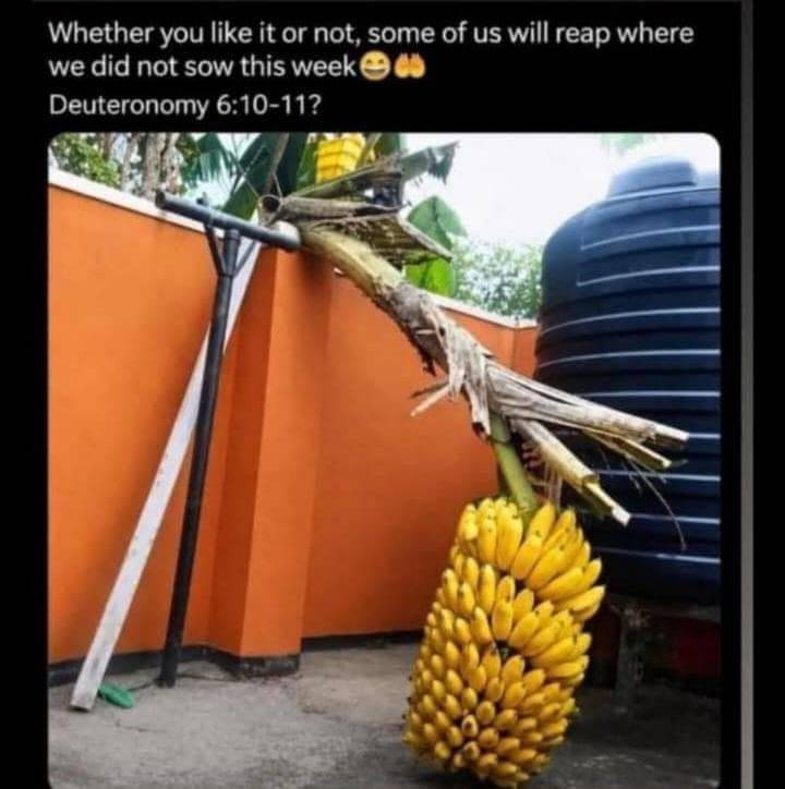 E don HAPPEN.... ๐๐๐ God is too great...
#LekeeLekee #Trending #Viral #Nigeria #NaijaPride