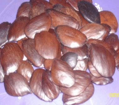 🥜 Ugba isn't just tasty – it's medicinal!
‎
‎https://dibanduherbals.com/pentaclethra-macrophylla_uk...