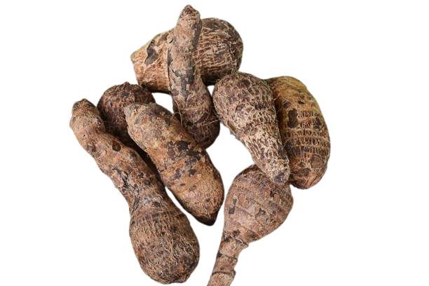 ๐ New Cocoyam (Ede Ocha/Koko) โ More than just a soup thickener! ๐ณ๐ฌ
โ
โhttps://dibanduherbals.com/x...