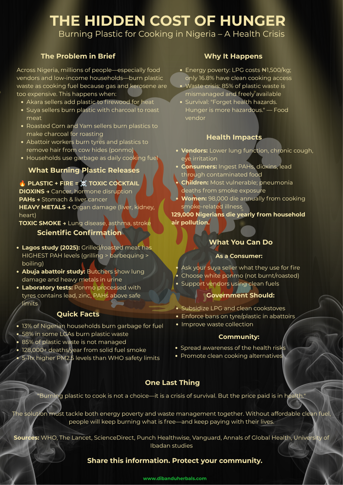 https://dibanduherbals.com/the-hidden-cost-of-hunger-health-implications-of-burning-plastic-for-cook...