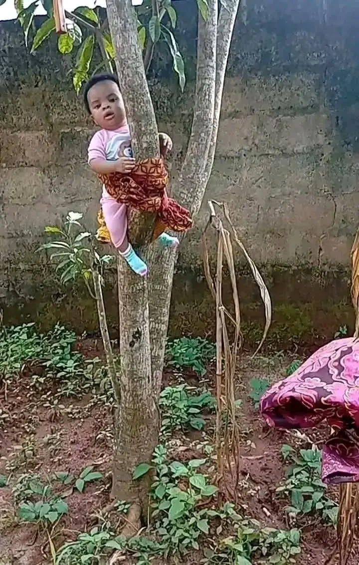 As funny as this looks mama has to work. The little kid feels otherwise but the decision has been ma...