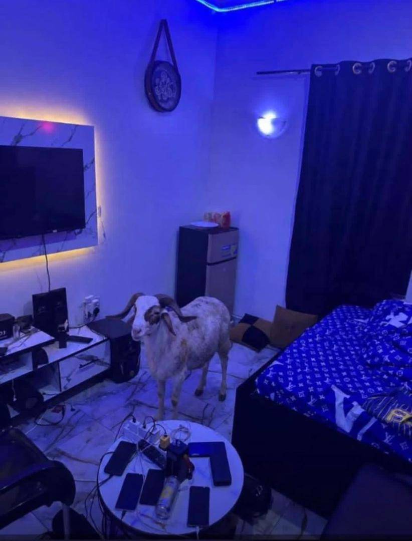 700k Ram no suppose sleep outside.