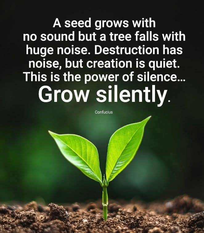 Sunday Nuggets ๐
When life brings you to a quiet phase, it wants you to have a deeper conversation...