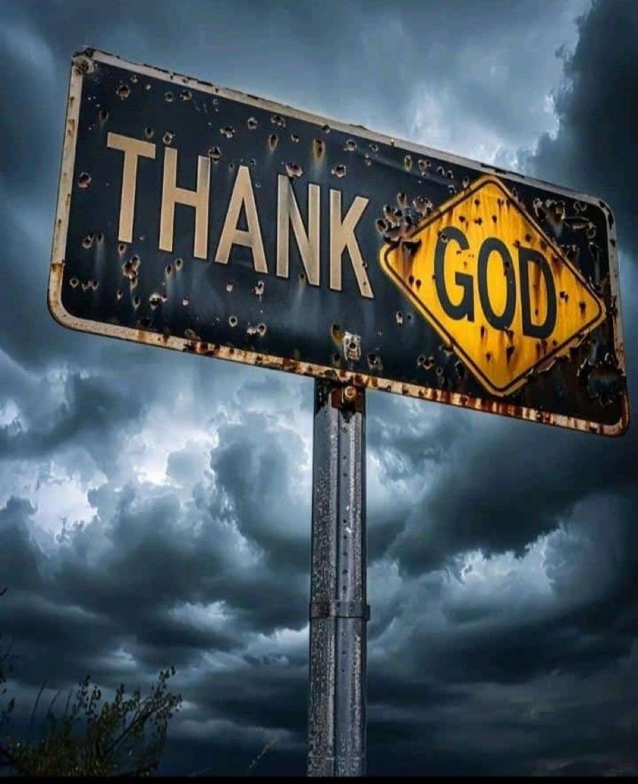 Happy Sunday