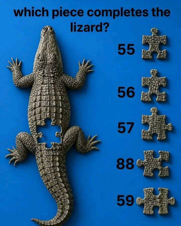 Weekend Trivia