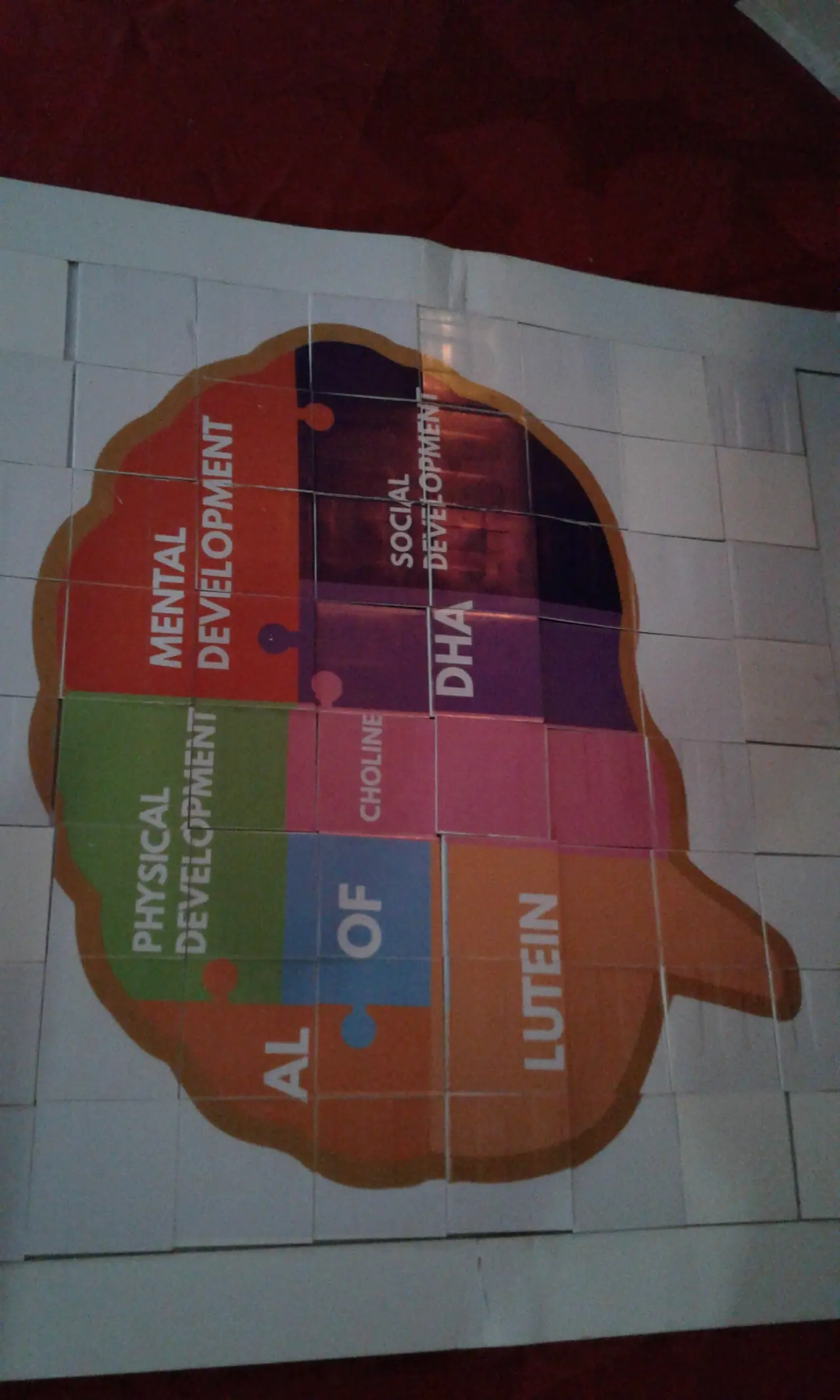Nutrition in brain development..