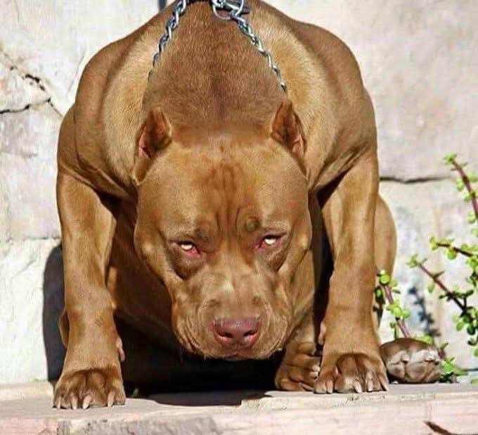 Na wetin some people go take defend their votes in 2027.