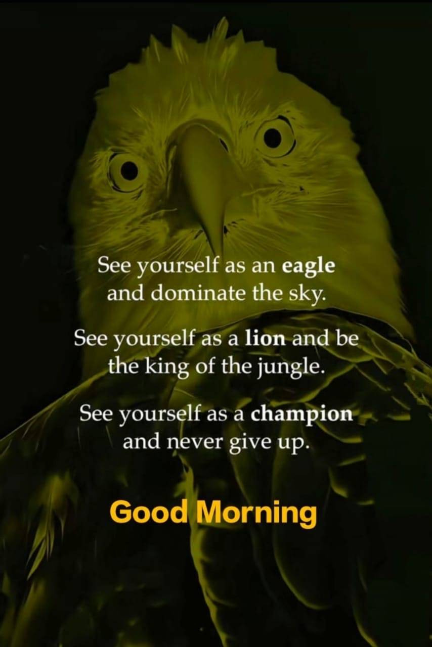 Go, Dominate!!!