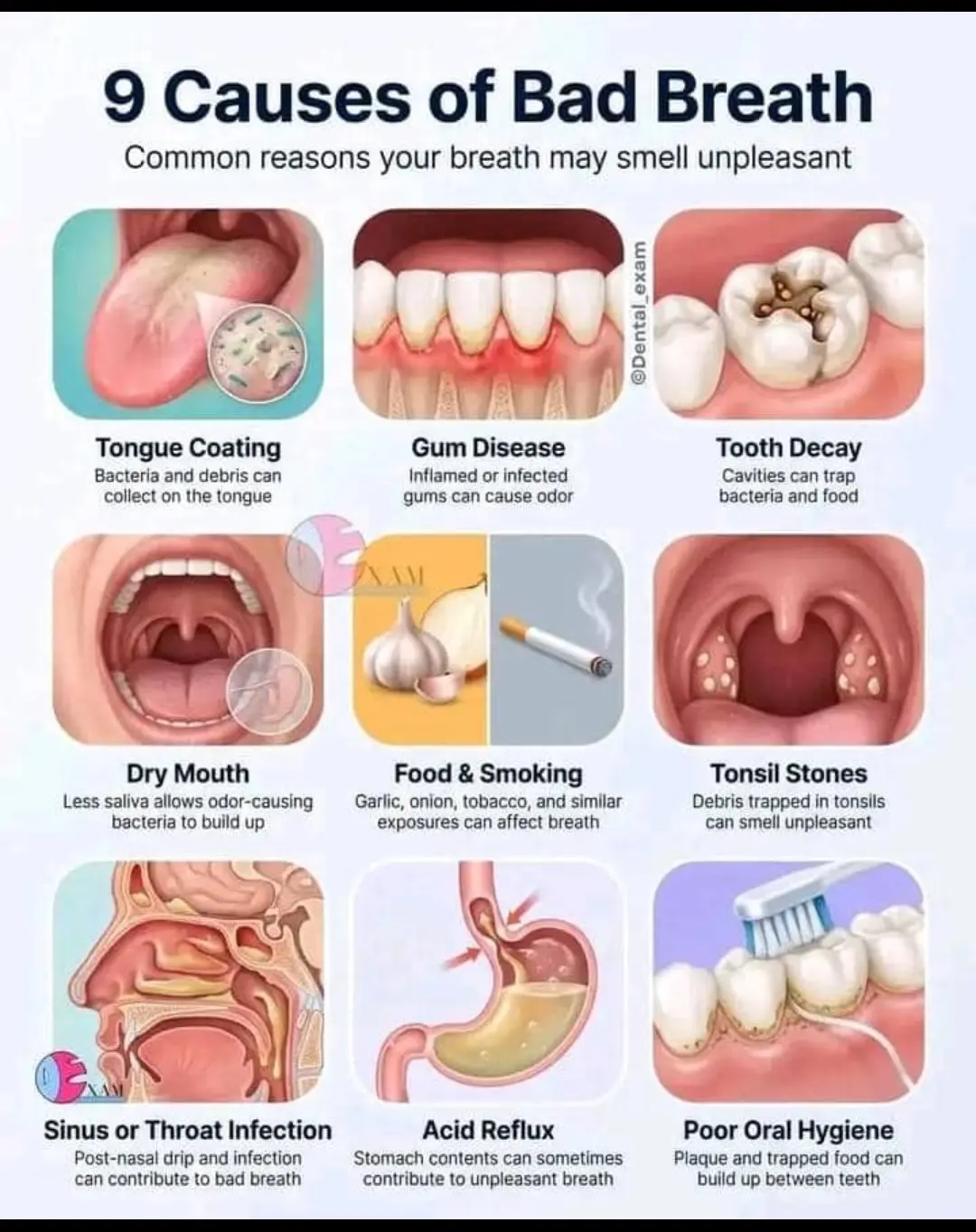 Also Active for ur dental services 🦷🙈❤