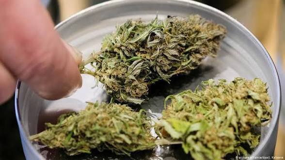 💯😻👀💥LOUD LOUD LOUD💥💨
Arizona Land 🌿 Cannabis delivery Service is Serving you the best WEED...