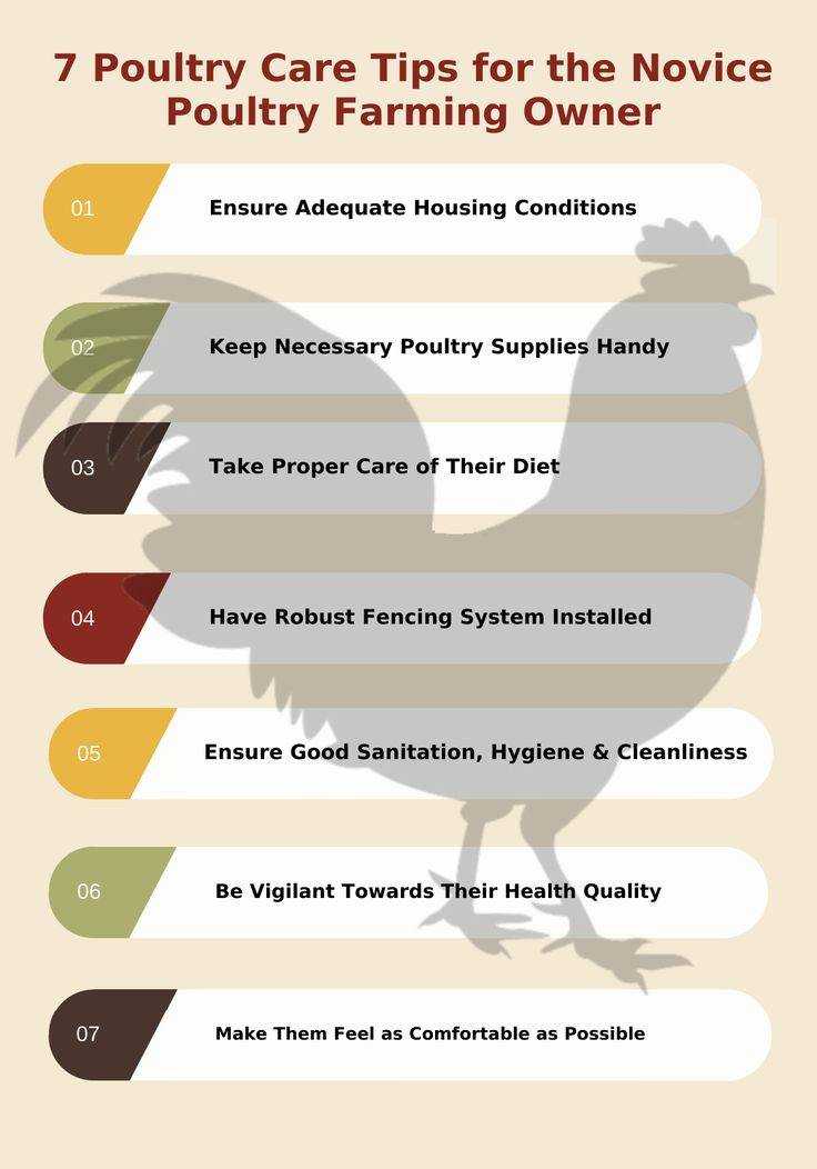 AS A POULTRY BEGINNER
1. Educate Yourself and Plan
Get training first: Attend workshops, visit suc...