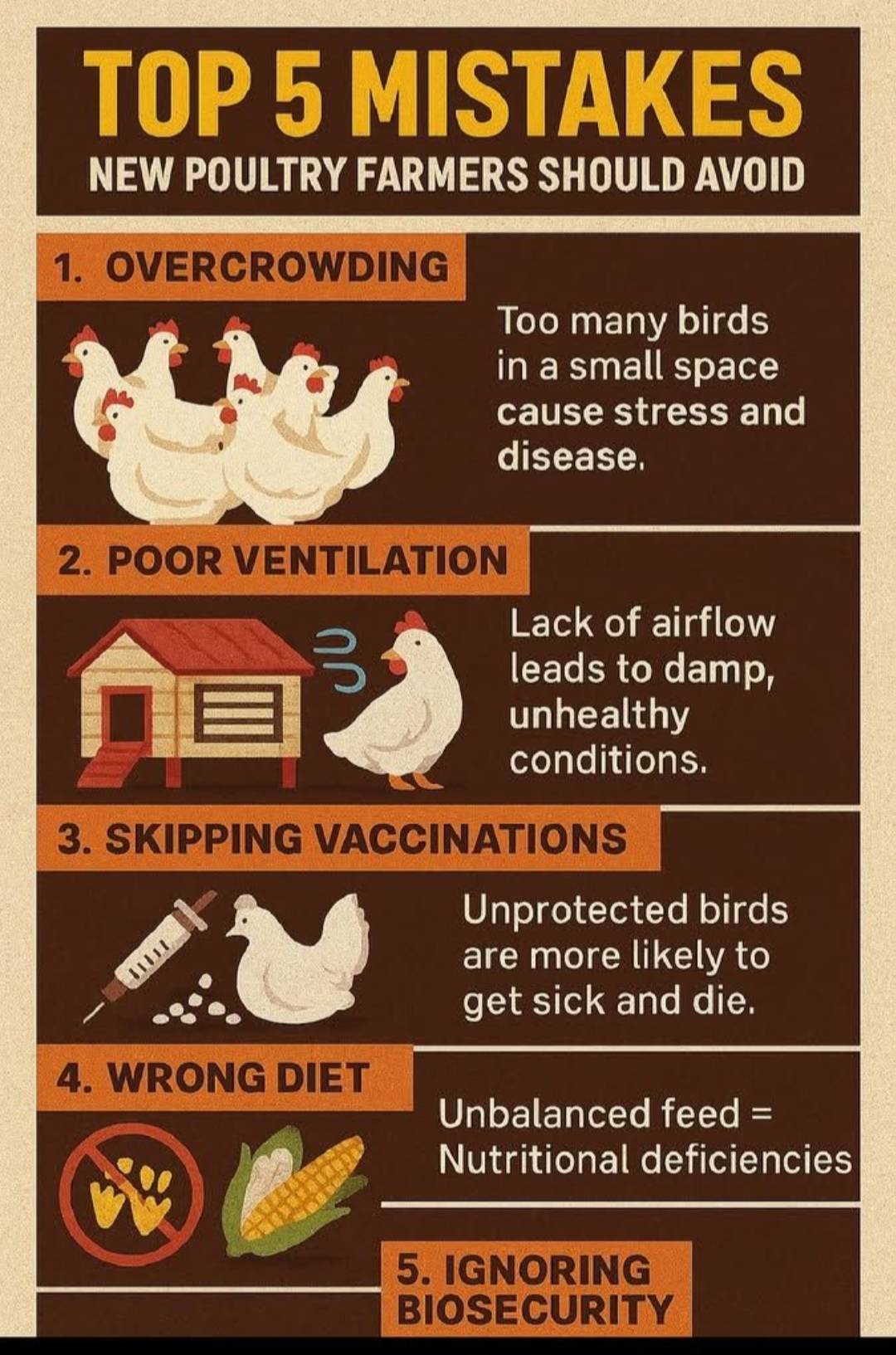 FIVE COMMON MISTAKES MADE BY POULTRY BEGINNERS.
Here are the most common top mistakes made in poul...