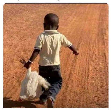 QUICK TIP: You are not too small to start a poultry business. Start today and stop procrastinating.