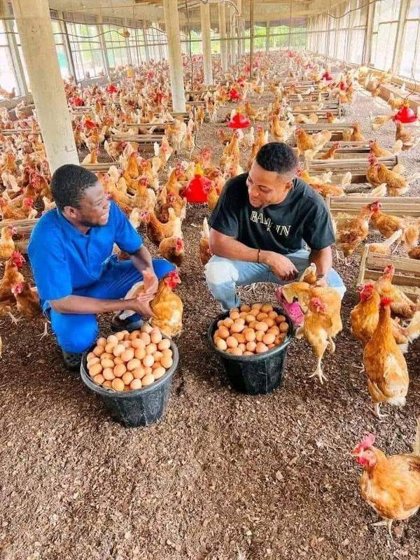 QUICK TIP:
There is joy in farming which the non farmers don't know.
Are you aware that by mere l...