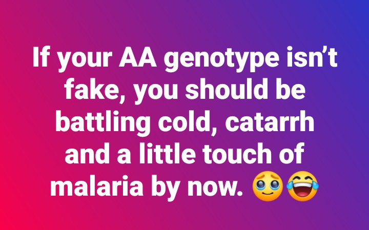 no be lie