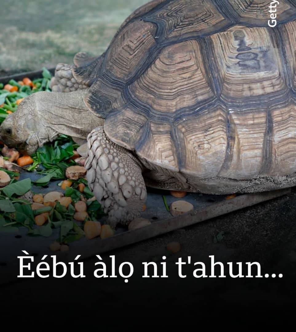 Post by Etiko Abideen Babatunde