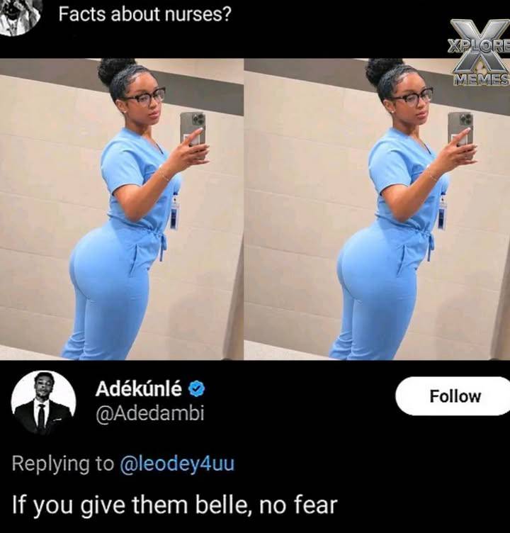 fact no fear