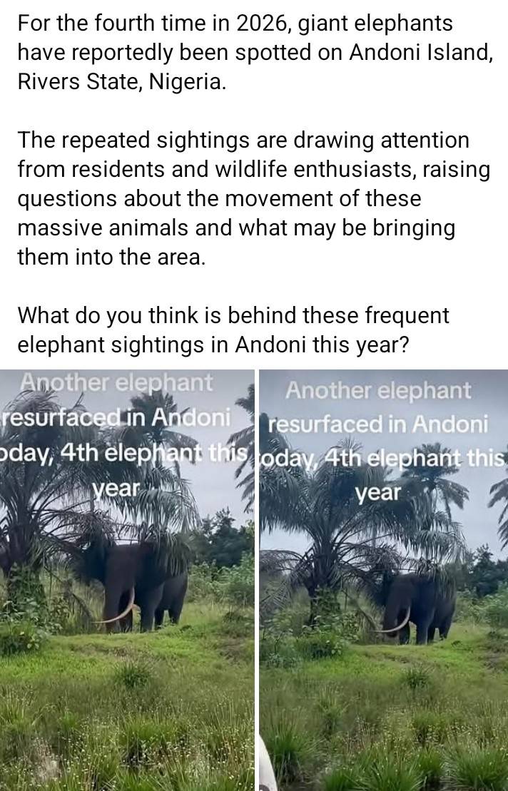wild life at our door step