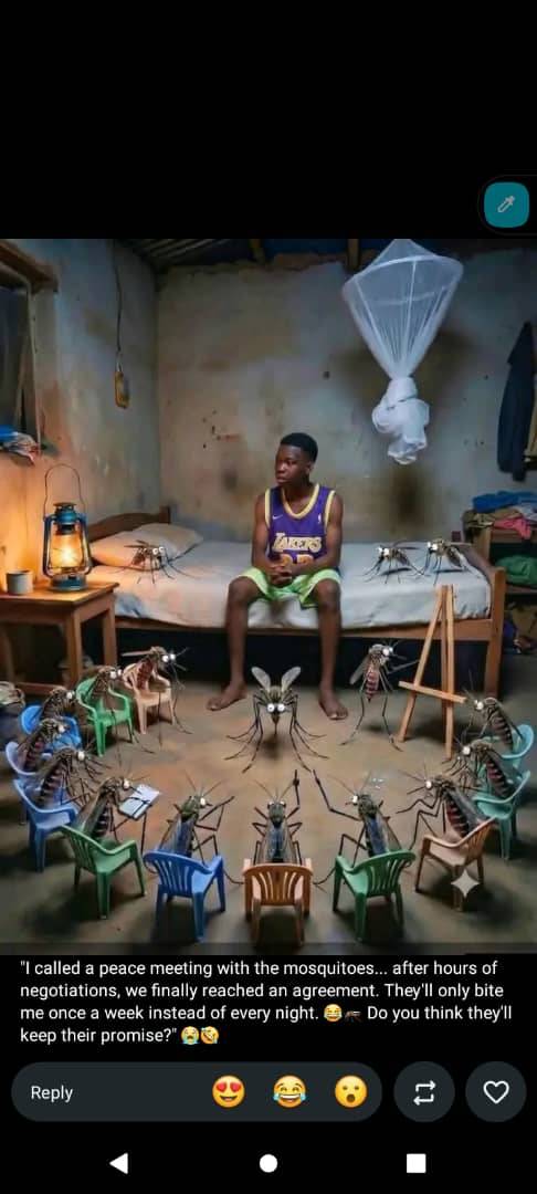 I'm having a peace meeting with mosquitoes ๐ฆ๐ฆ๐ฆ...we are about to broker a ๐ค