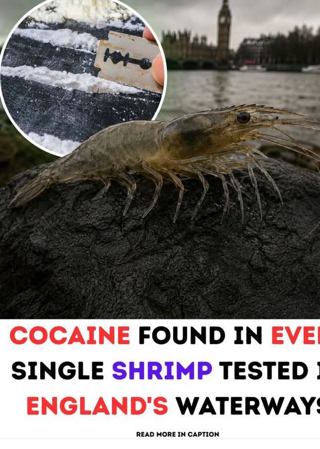 marine scientist research.how true is this?